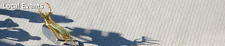 Metro Bellevue WA - local events | MetroBellevue.com